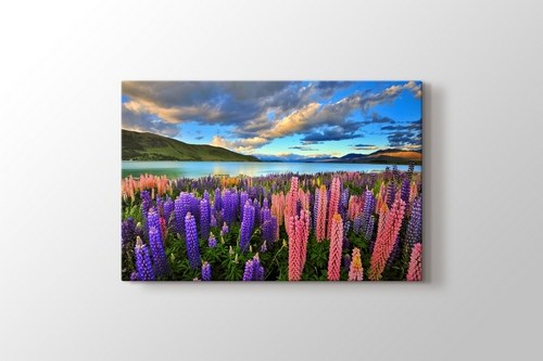 Lake Tekapo - New Zealand görseli.