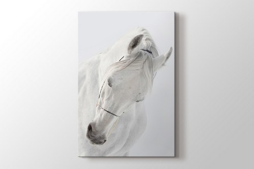 White Horse görseli.