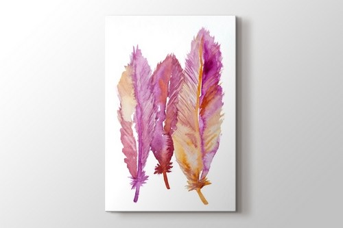Feathers görseli.