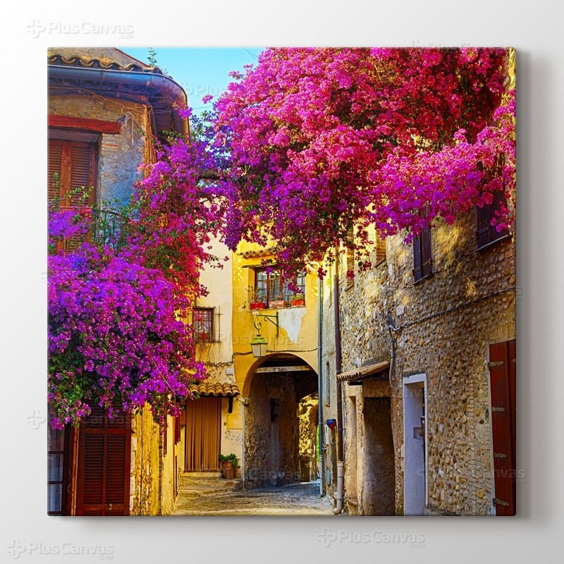 Erguvan ve Provence Sokakları görseli.