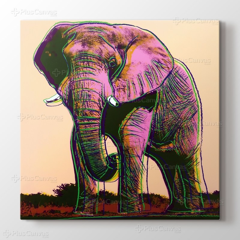 Elephant görseli.