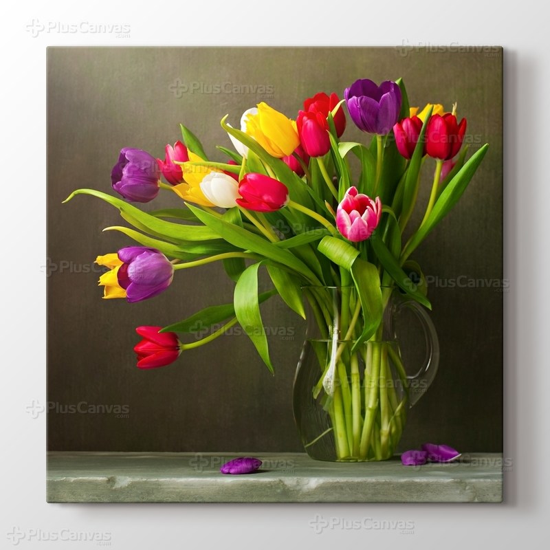 Tulips görseli.