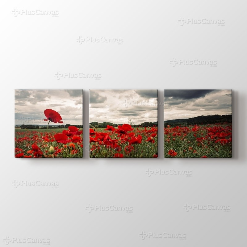 Poppy Field görseli.