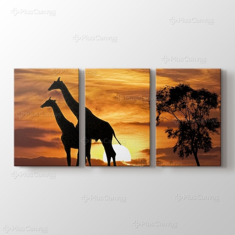Giraffes and the Sunset görseli.