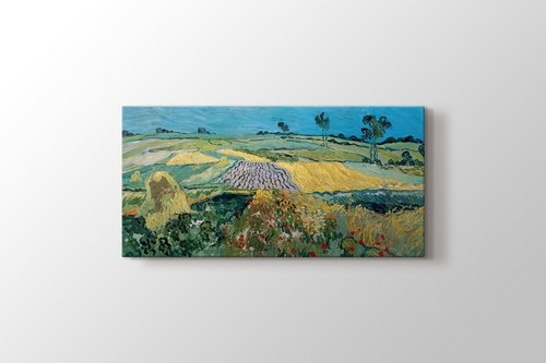 The Plain of Auvers görseli.