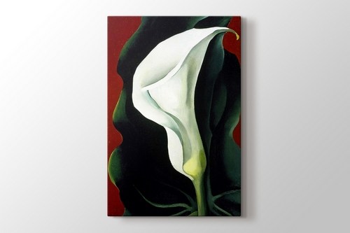 Single Lily with Red 1928 görseli.