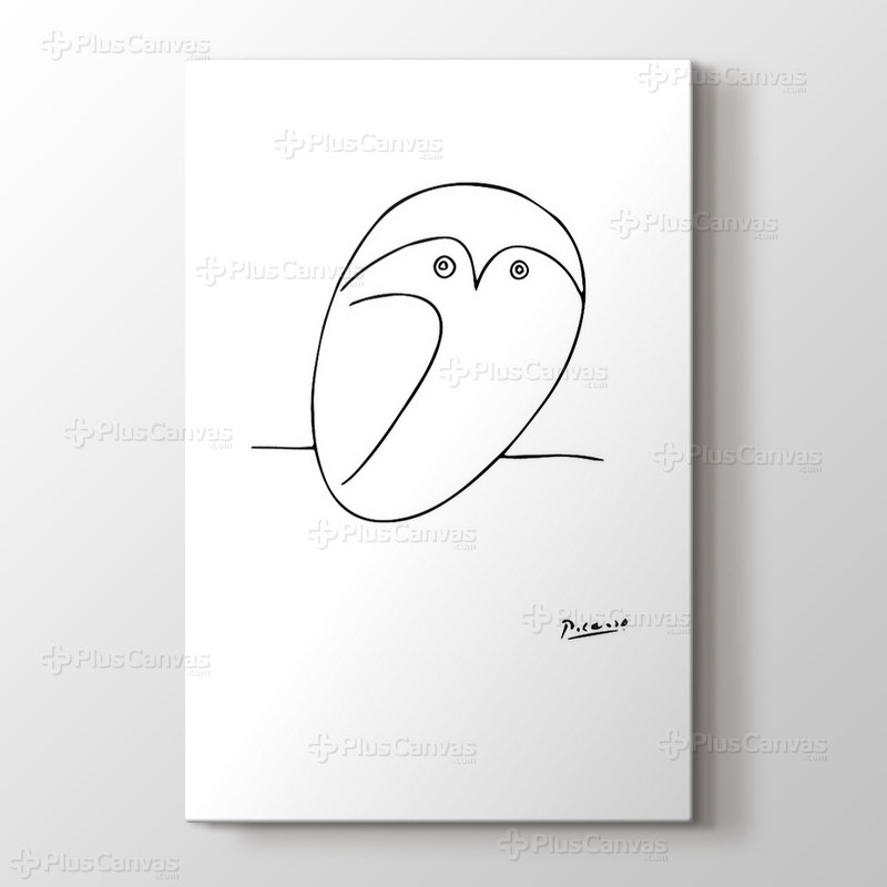 Owl görseli.
