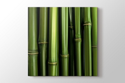Bamboo görseli.