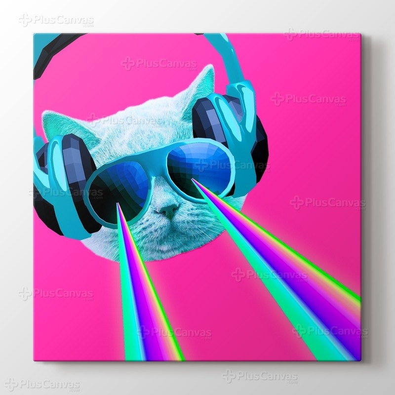 DJ Kedi görseli.