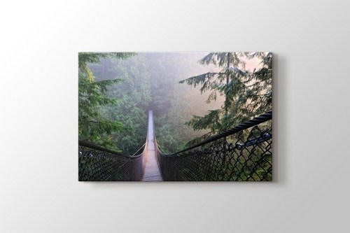 Kanada Lynn Canyon Park görseli.