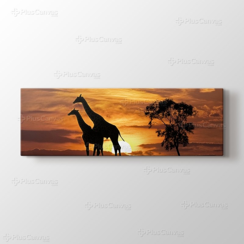 Giraffes and the Sunset görseli.