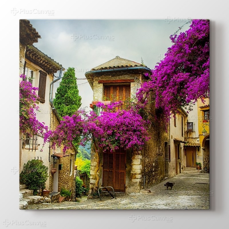 Erguvan Çiçekli Provence görseli.