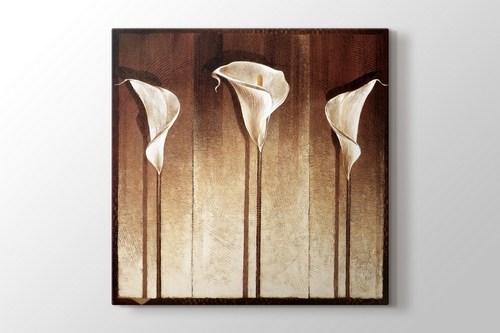 Three Cella Lillies görseli.