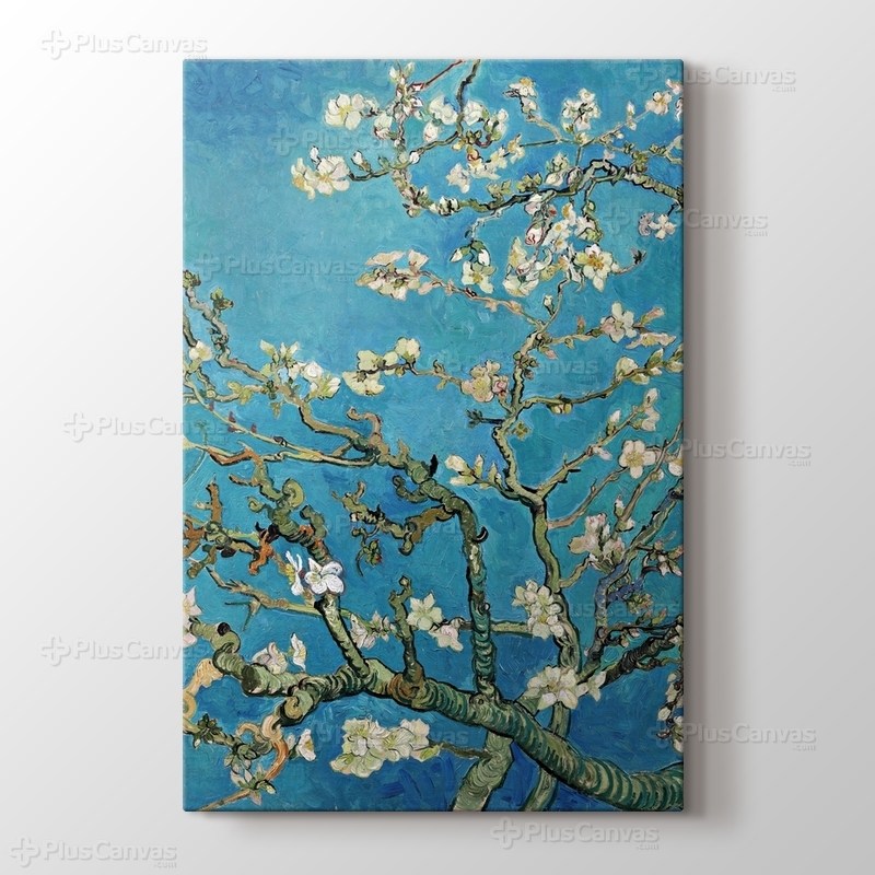 Çiçek Açan Badem Ağacı - Almond Blossom görseli.