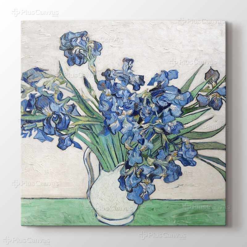 Irises görseli.