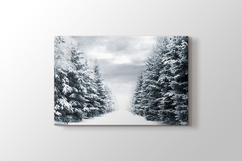 Snowy Road Between Trees görseli.