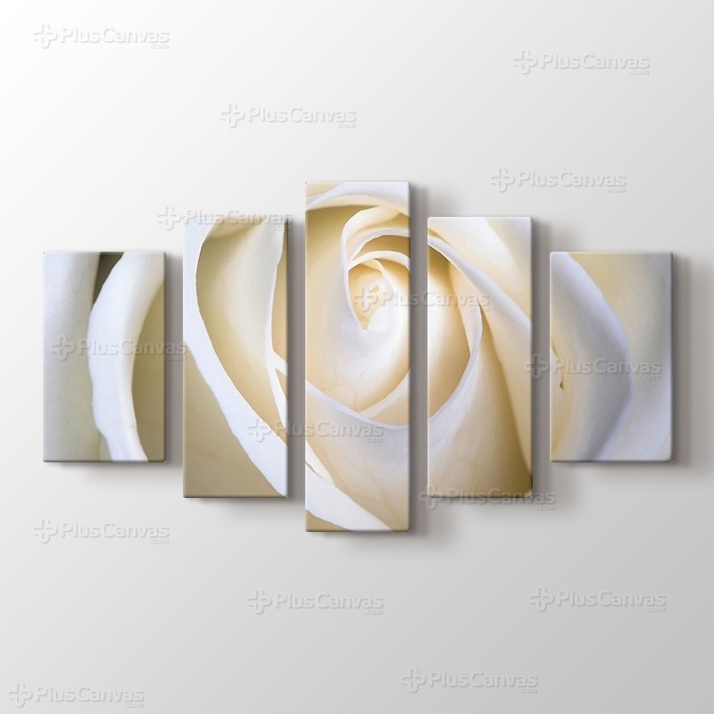 White Rose görseli.