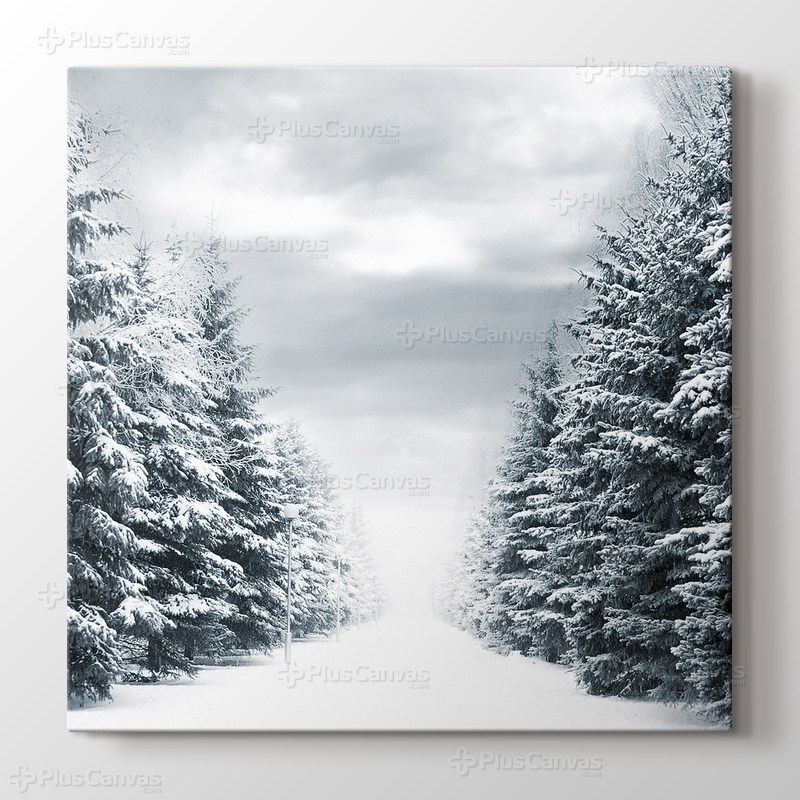 Snowy Road Between Trees görseli.