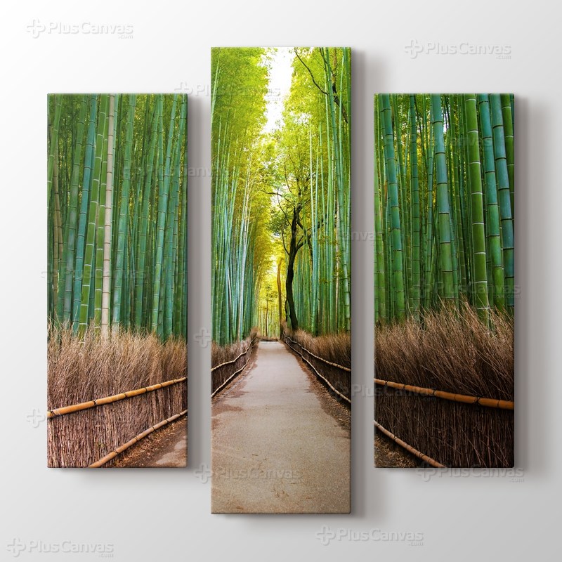 Bamboo Forest in Kyoto Japan görseli.