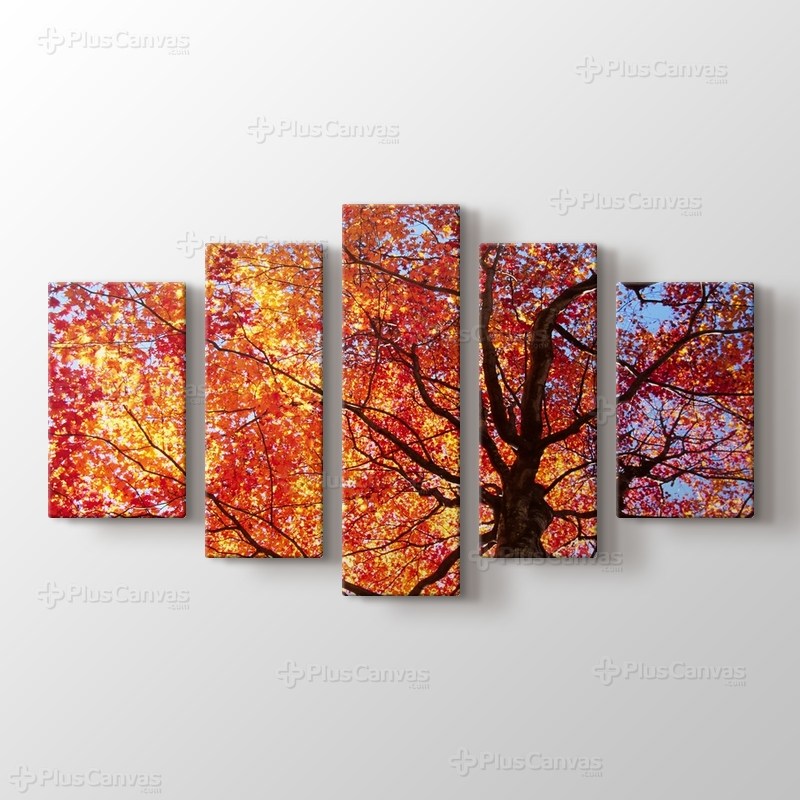 Autumn Leaves görseli.