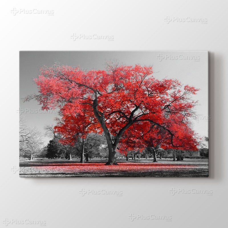 Red Tree görseli.