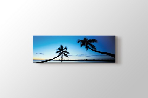 Palms görseli.