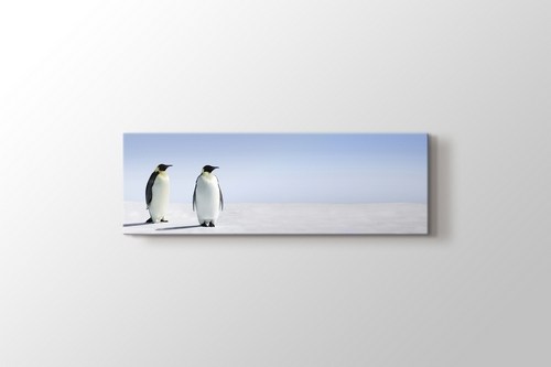 Penguins görseli.