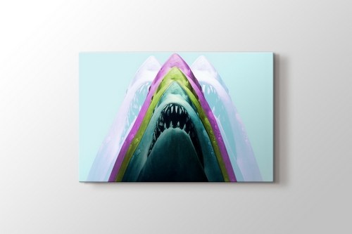 Shark görseli.