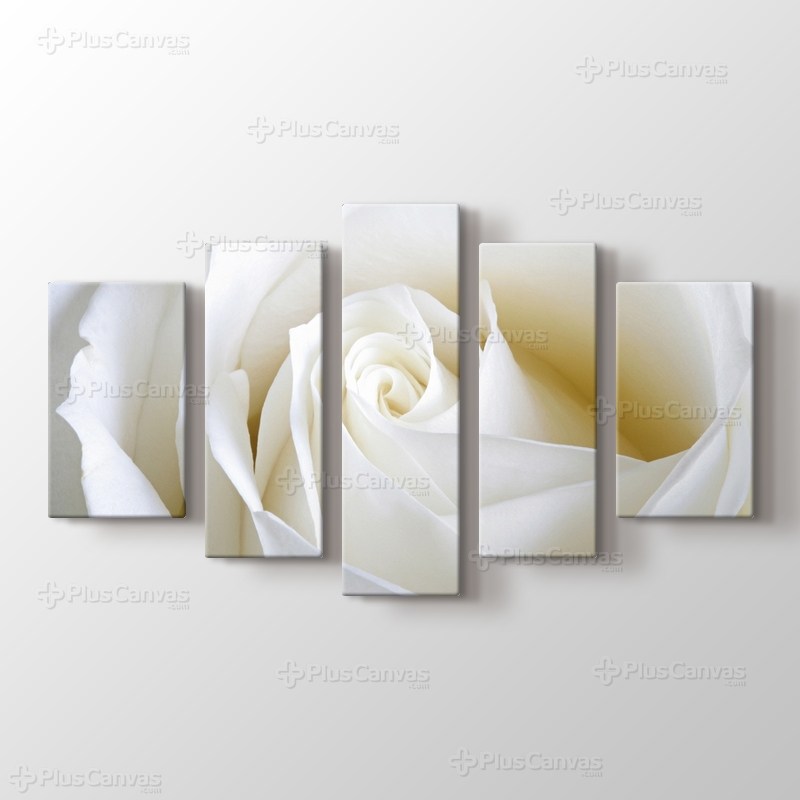 White Rose Close Up görseli.