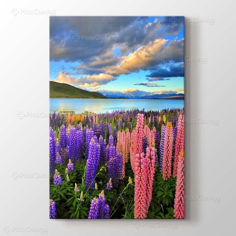 Lake Tekapo - New Zealand görseli.
