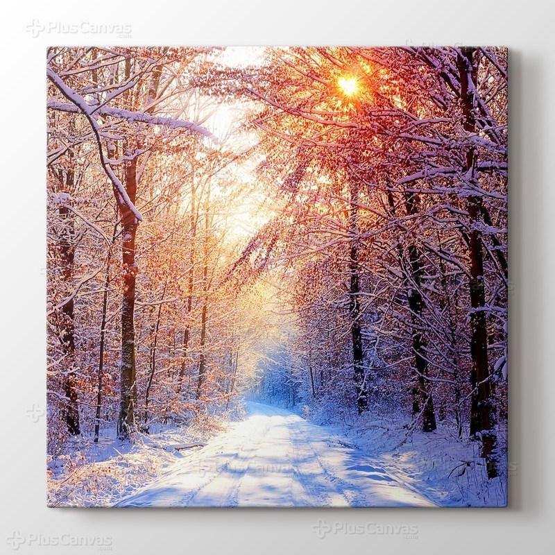 Snowy Road görseli.