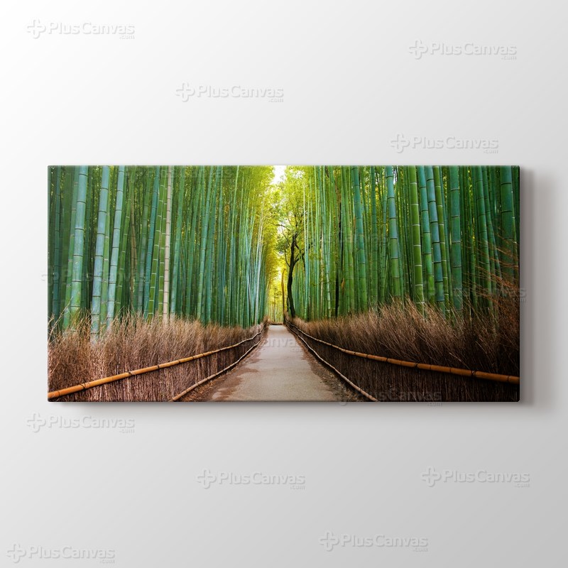 Bamboo Forest in Kyoto Japan görseli.