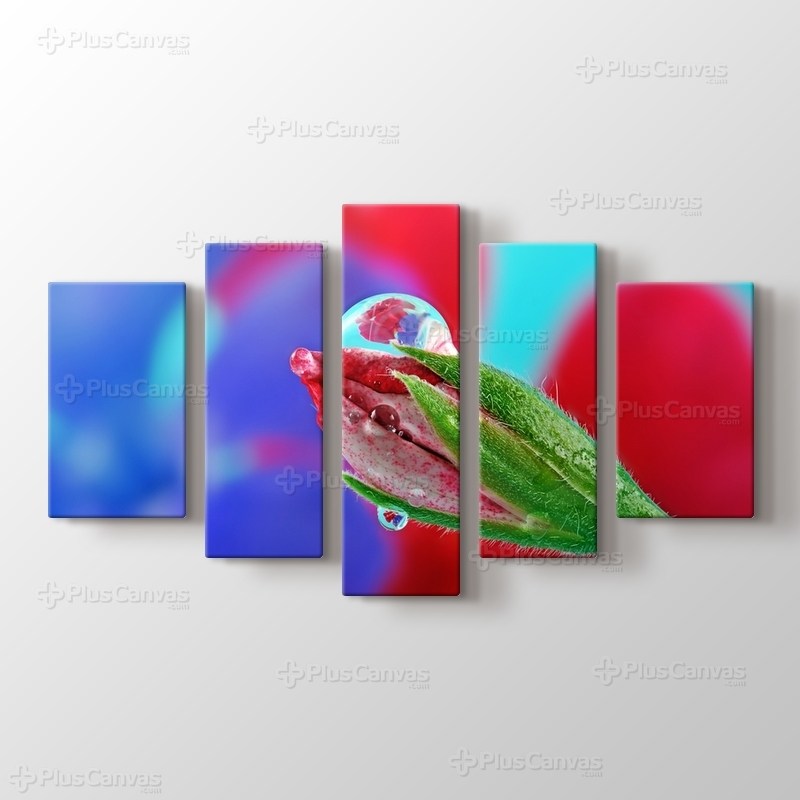 Çiçek Tomurcuğu görseli.