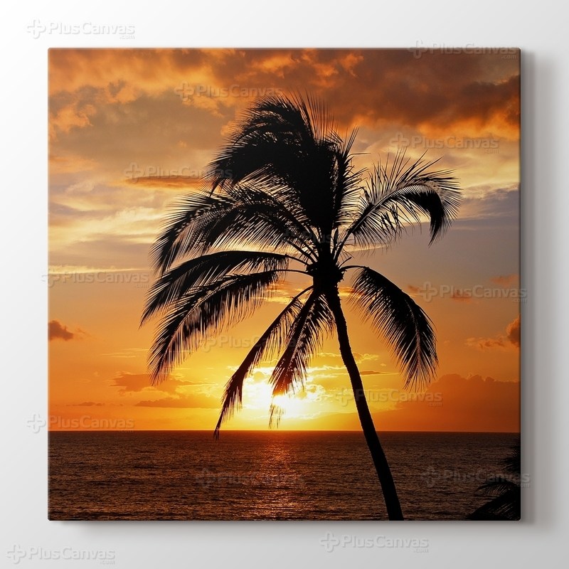 Sunset at Coast görseli.