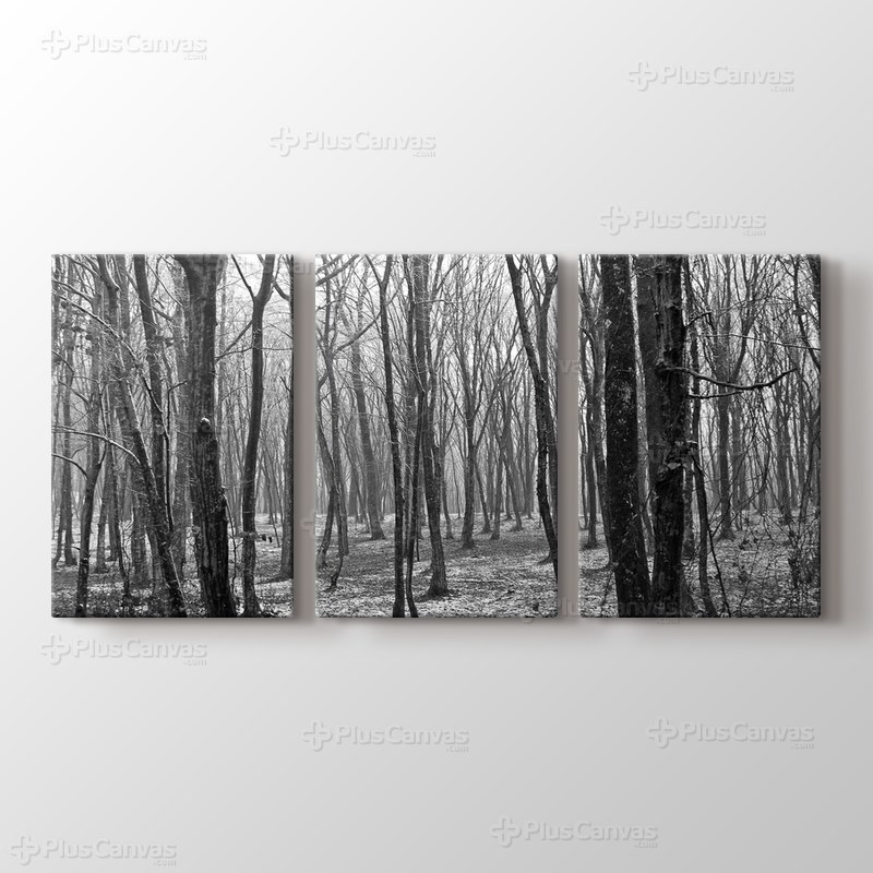 Spring Trees görseli.