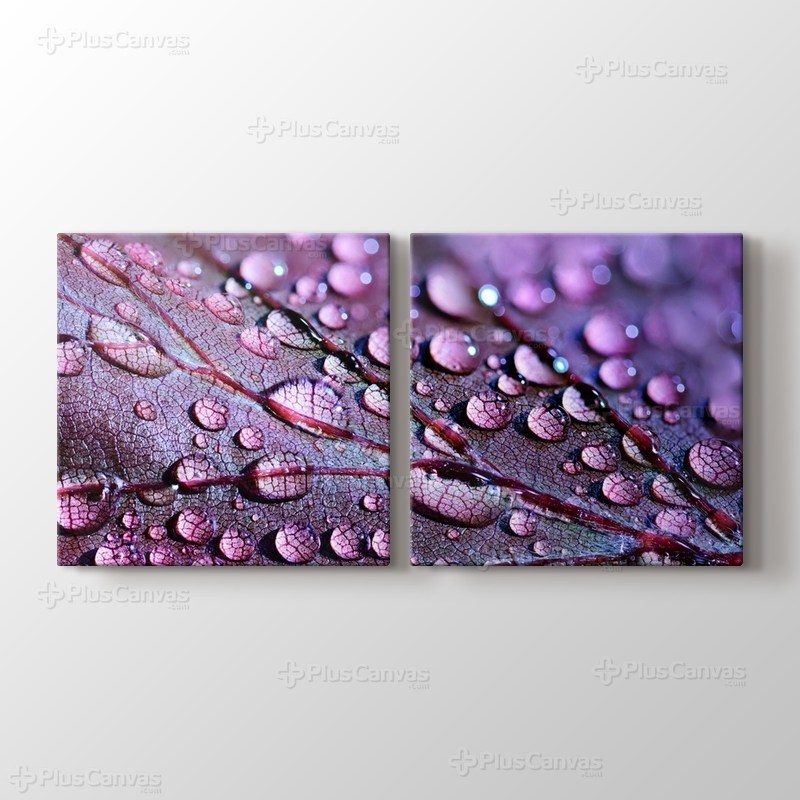 Aqua Drops görseli.