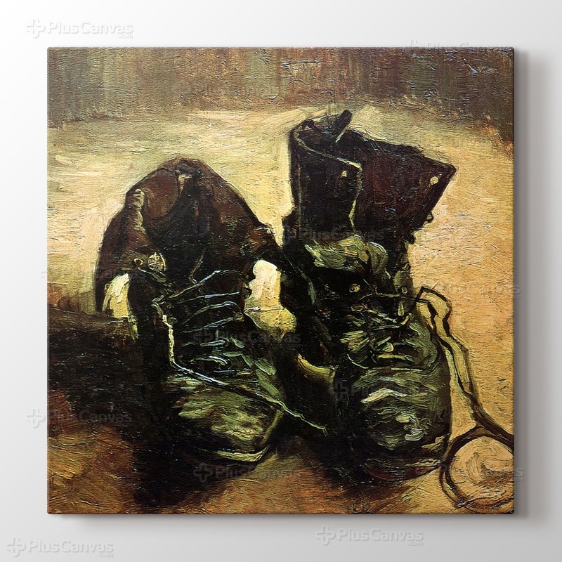 Pair of Shoes görseli.