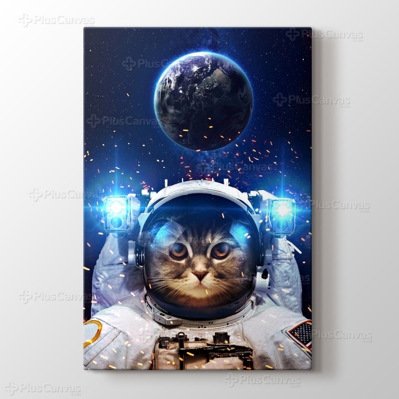 Beautiful Cat in Outer Space görseli.