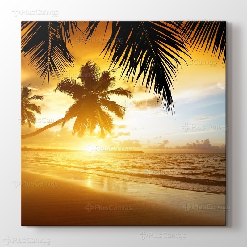 Günbatımı Palmiyeler görseli.