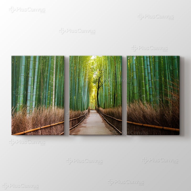 Bamboo Forest in Kyoto Japan görseli.