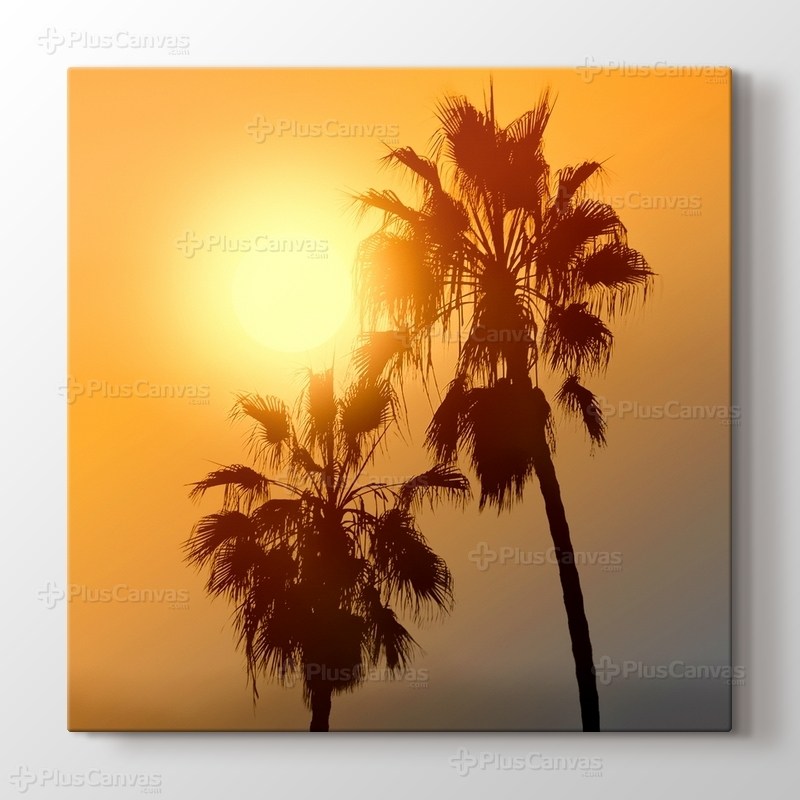 Palmiyeler görseli.