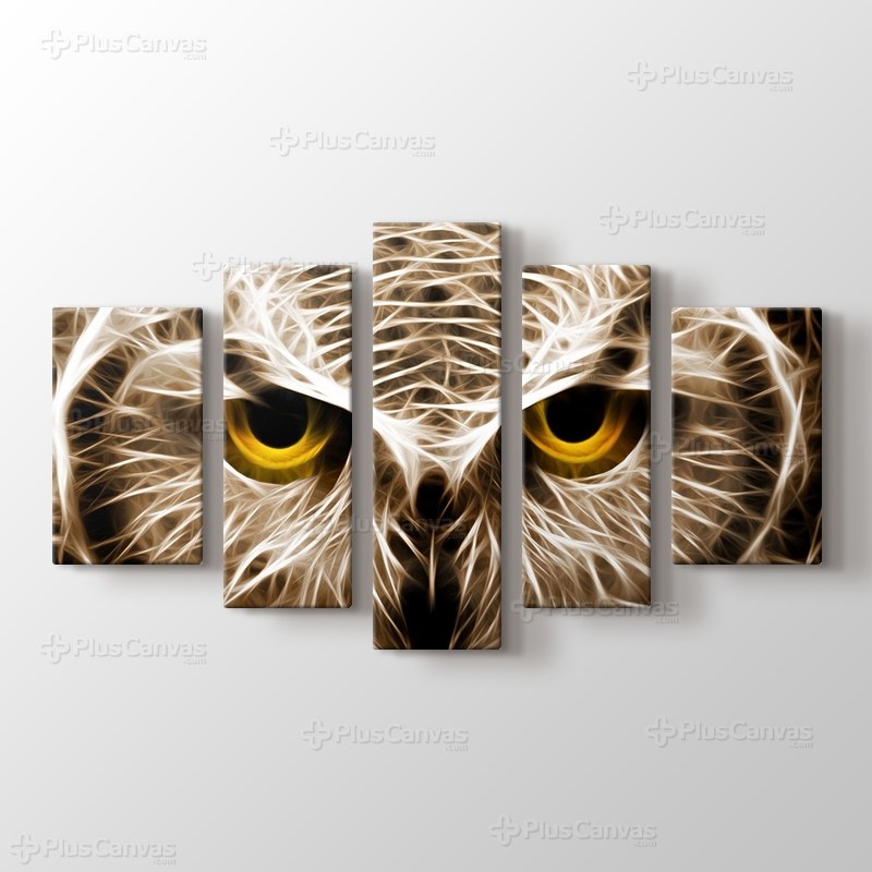 CloseUp Owl görseli.