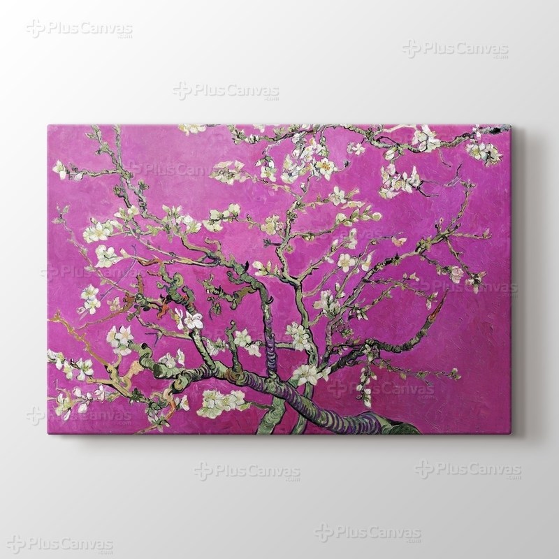 Çiçek Açan Badem Ağacı görseli.