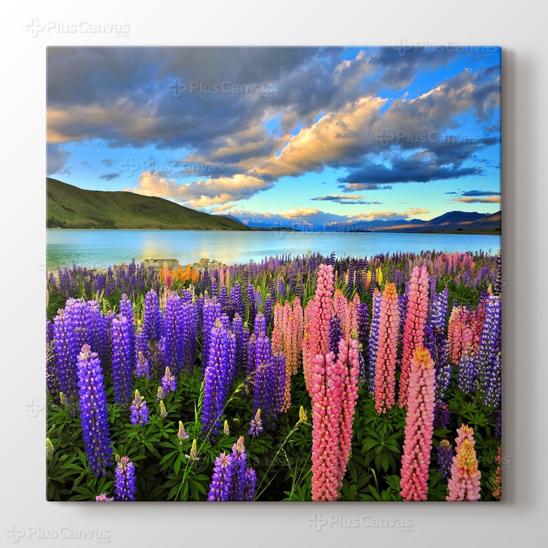 Lake Tekapo - New Zealand görseli.