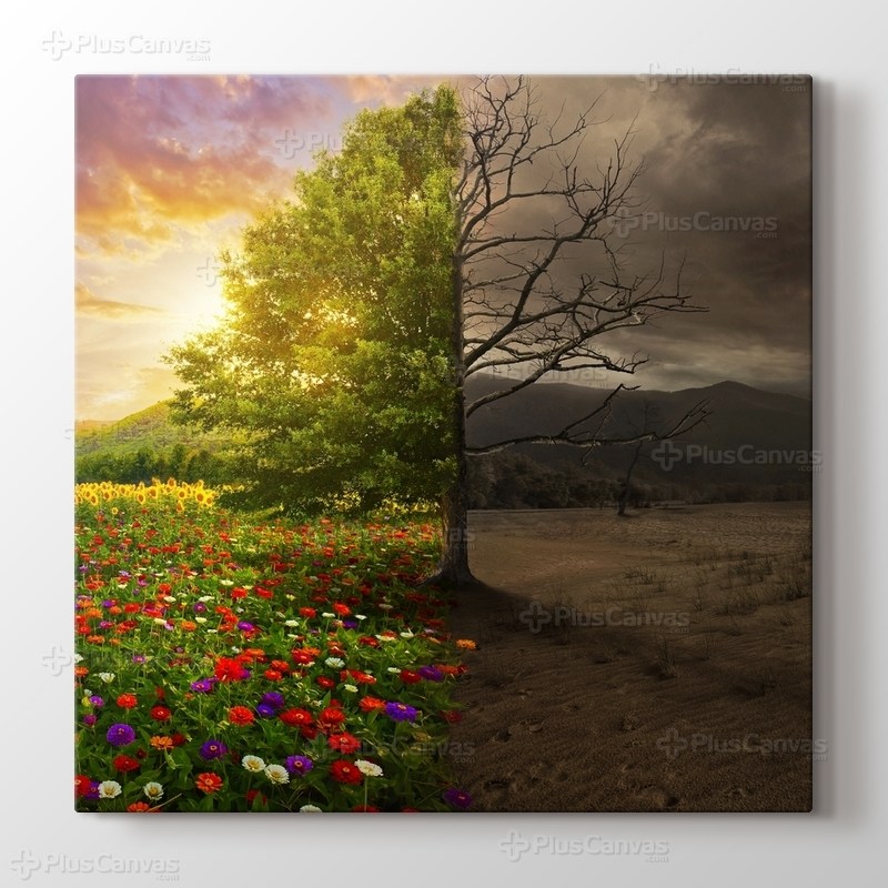 Life and Death görseli.