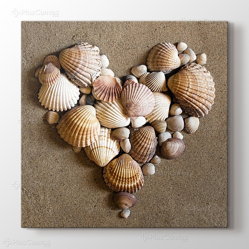 Heart Shaped Sea Shells görseli.