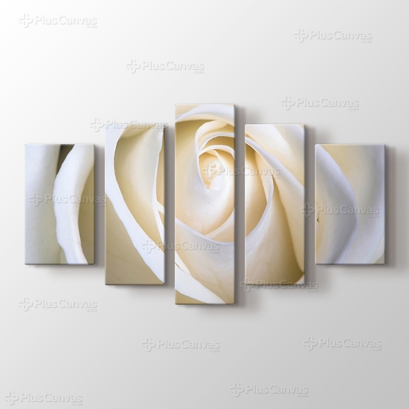 White Rose görseli.