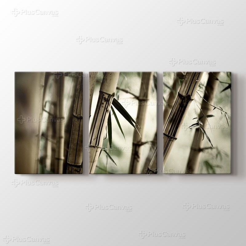 Bamboo görseli.