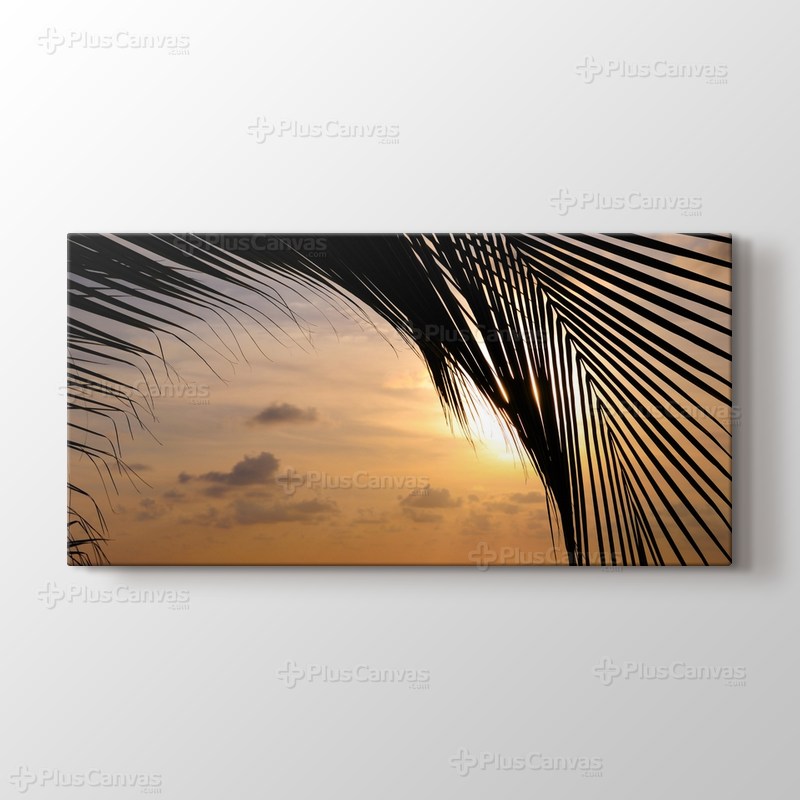 Sunset and a Palm Tree görseli.