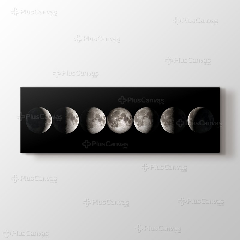 Moon Phrases görseli.